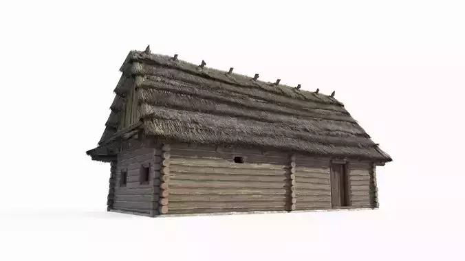 Medieval architecture thatched cottages and wooden houses