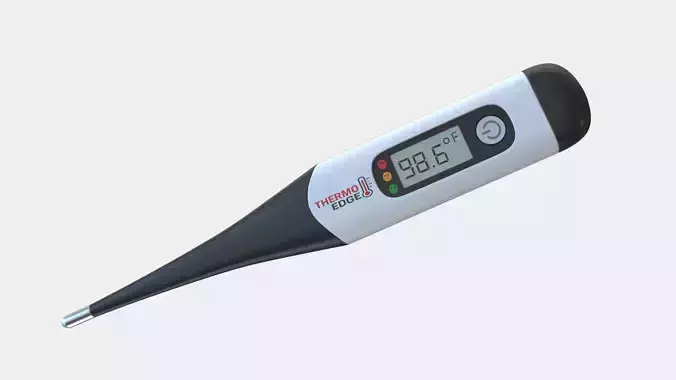 Digital Thermometer 02