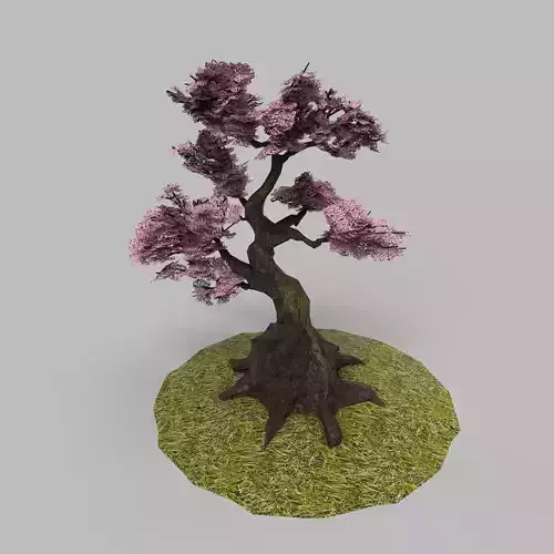 Blossom Sprint Tree 