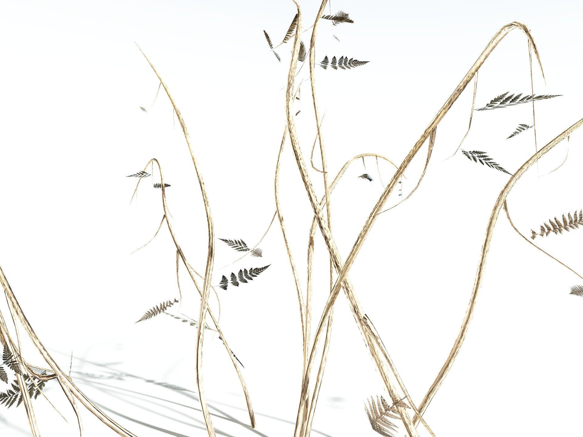 EVERYPlant Bracken LowPoly Low-poly 3D model_23