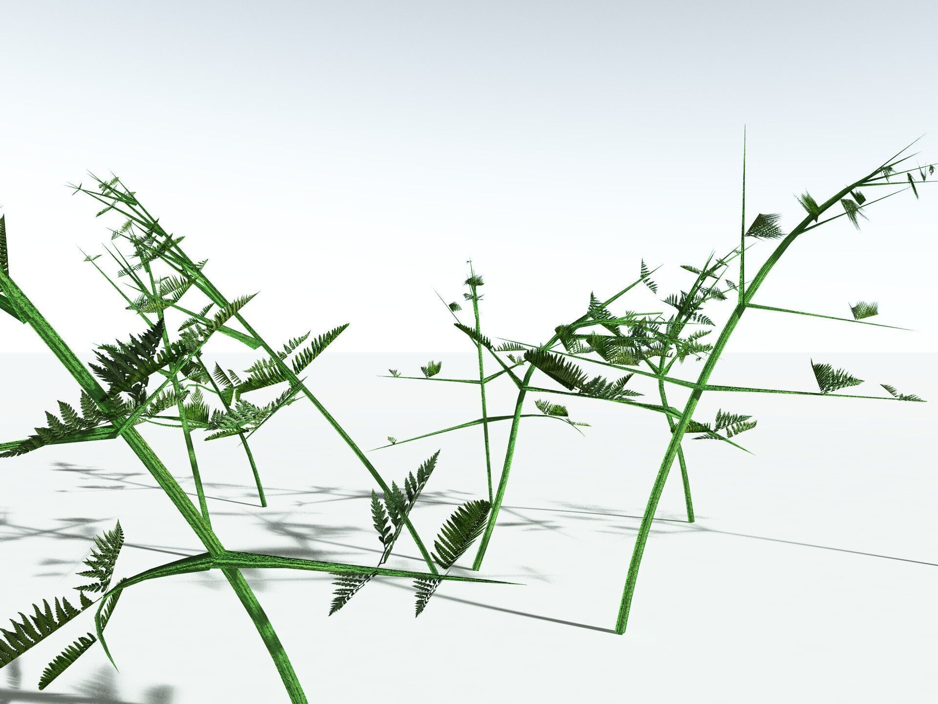 EVERYPlant Bracken LowPoly Low-poly 3D model_31