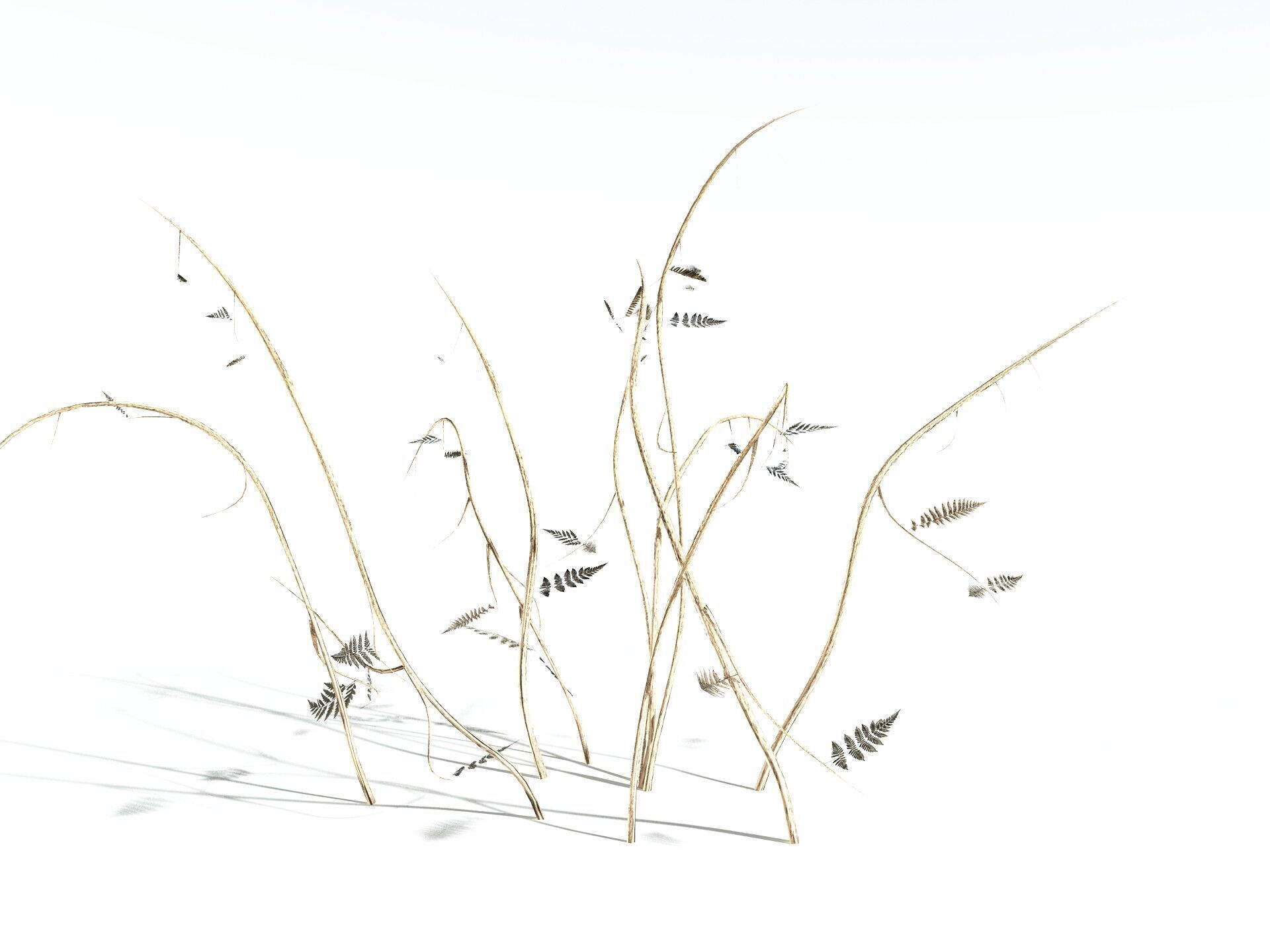 EVERYPlant Bracken LowPoly Low-poly 3D model_22