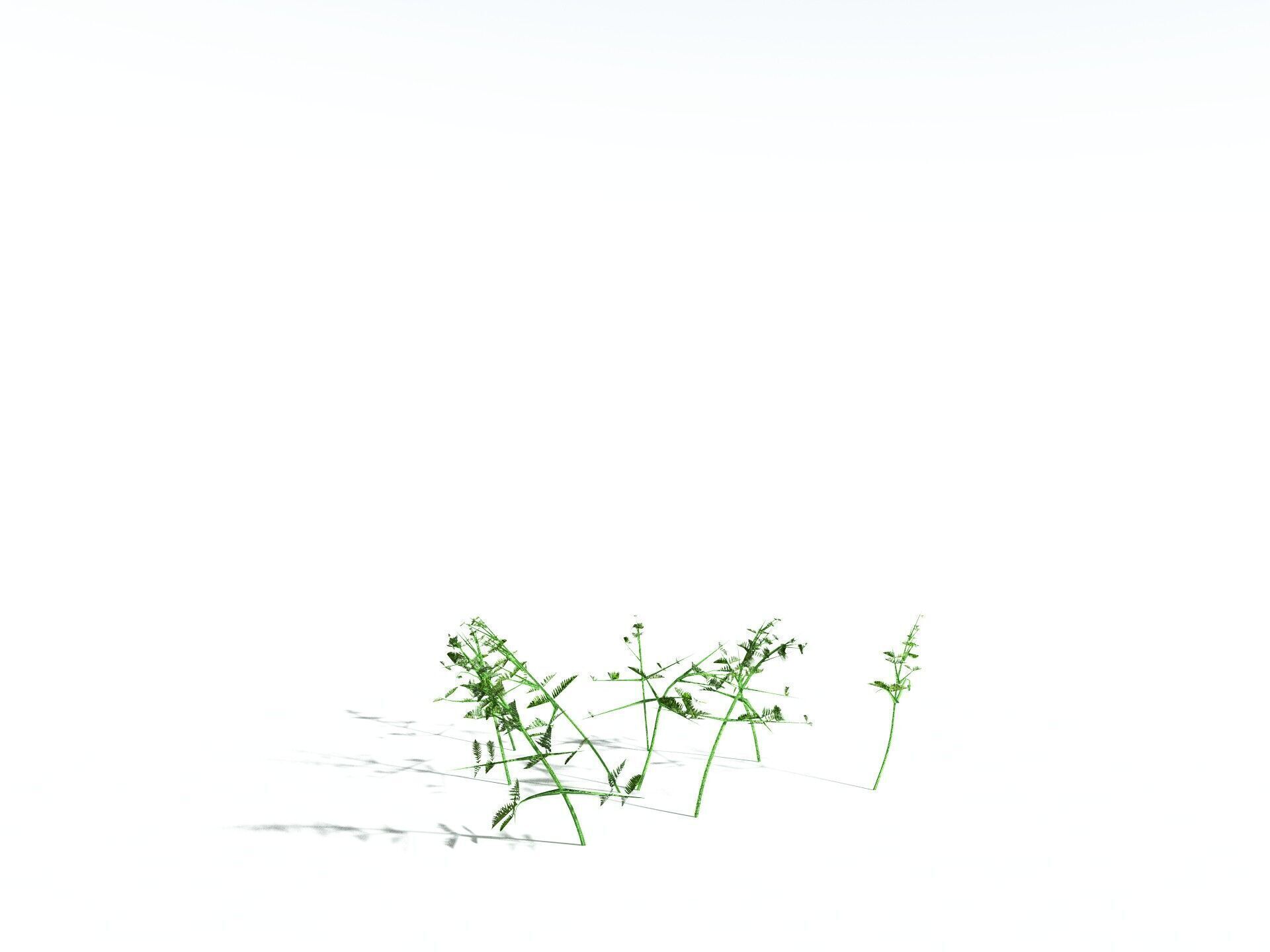 EVERYPlant Bracken LowPoly Low-poly 3D model_30