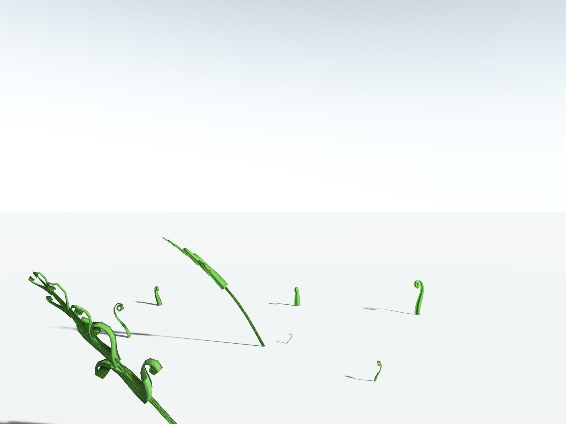 EVERYPlant Bracken LowPoly Low-poly 3D model_33