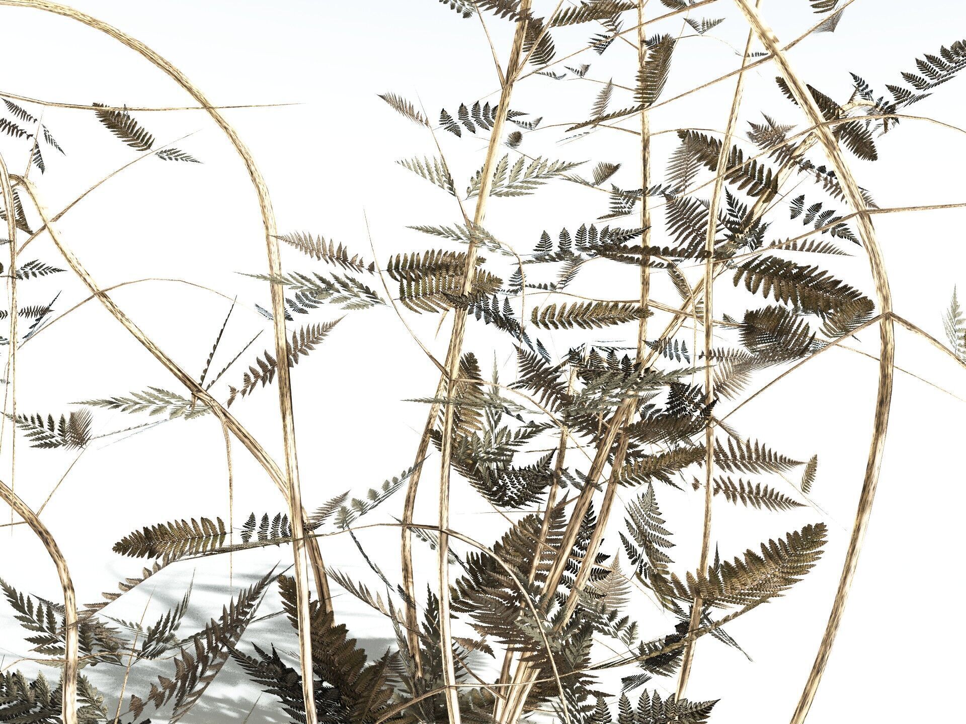 EVERYPlant Bracken LowPoly Low-poly 3D model_13