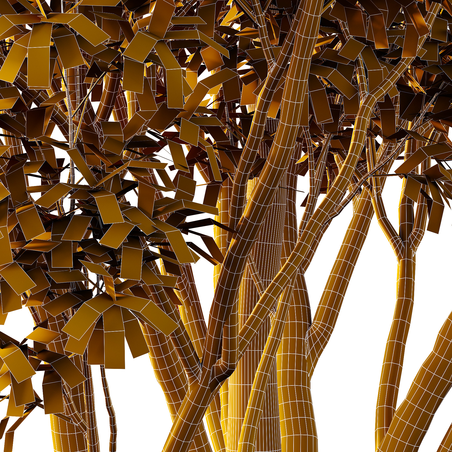 Water Gum Tree 05 3D model_6