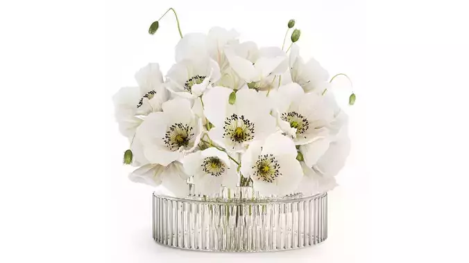 Beautiful Bouquet Of White Wild Flowers Poppy 584