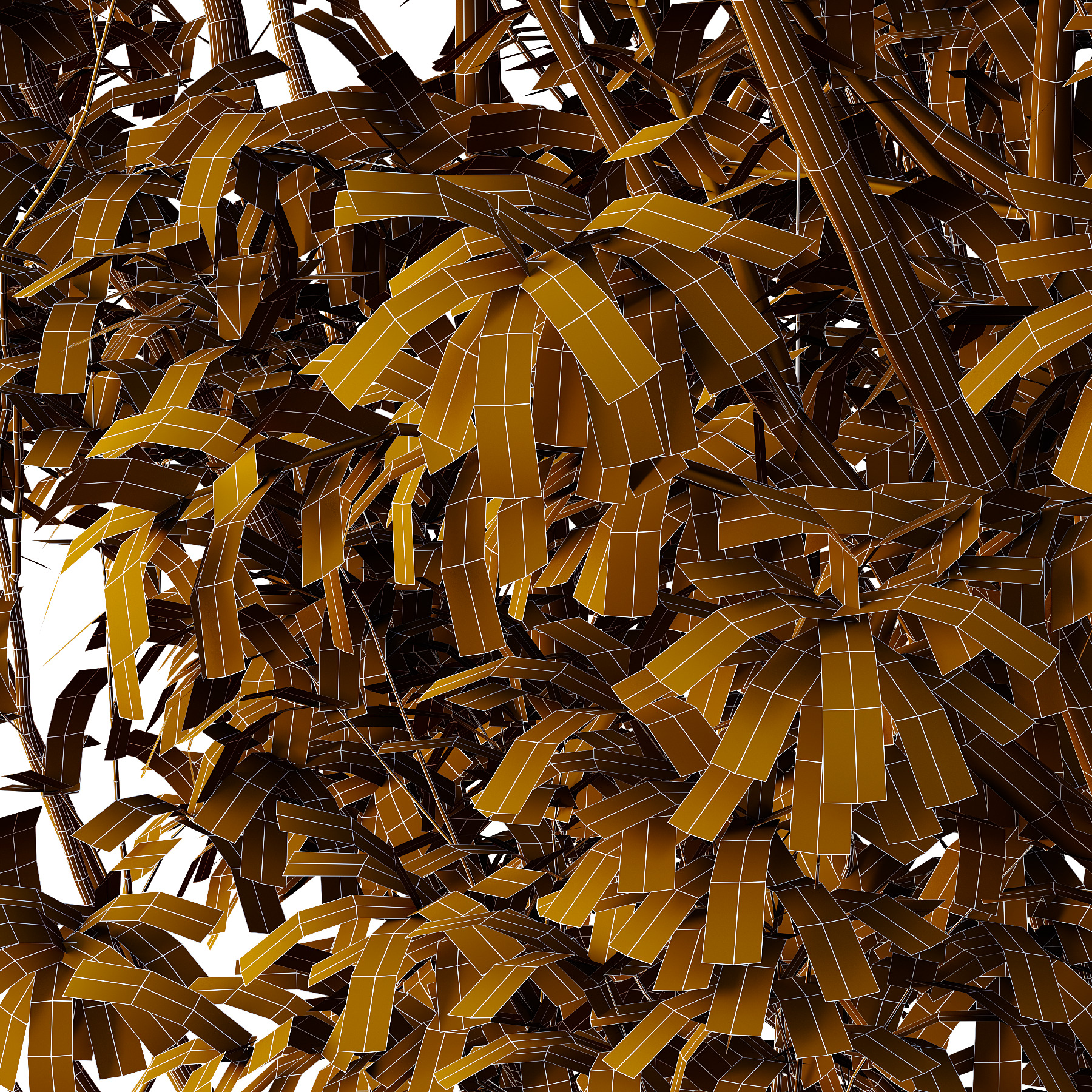 Water Gum Tree 02 3D model_4