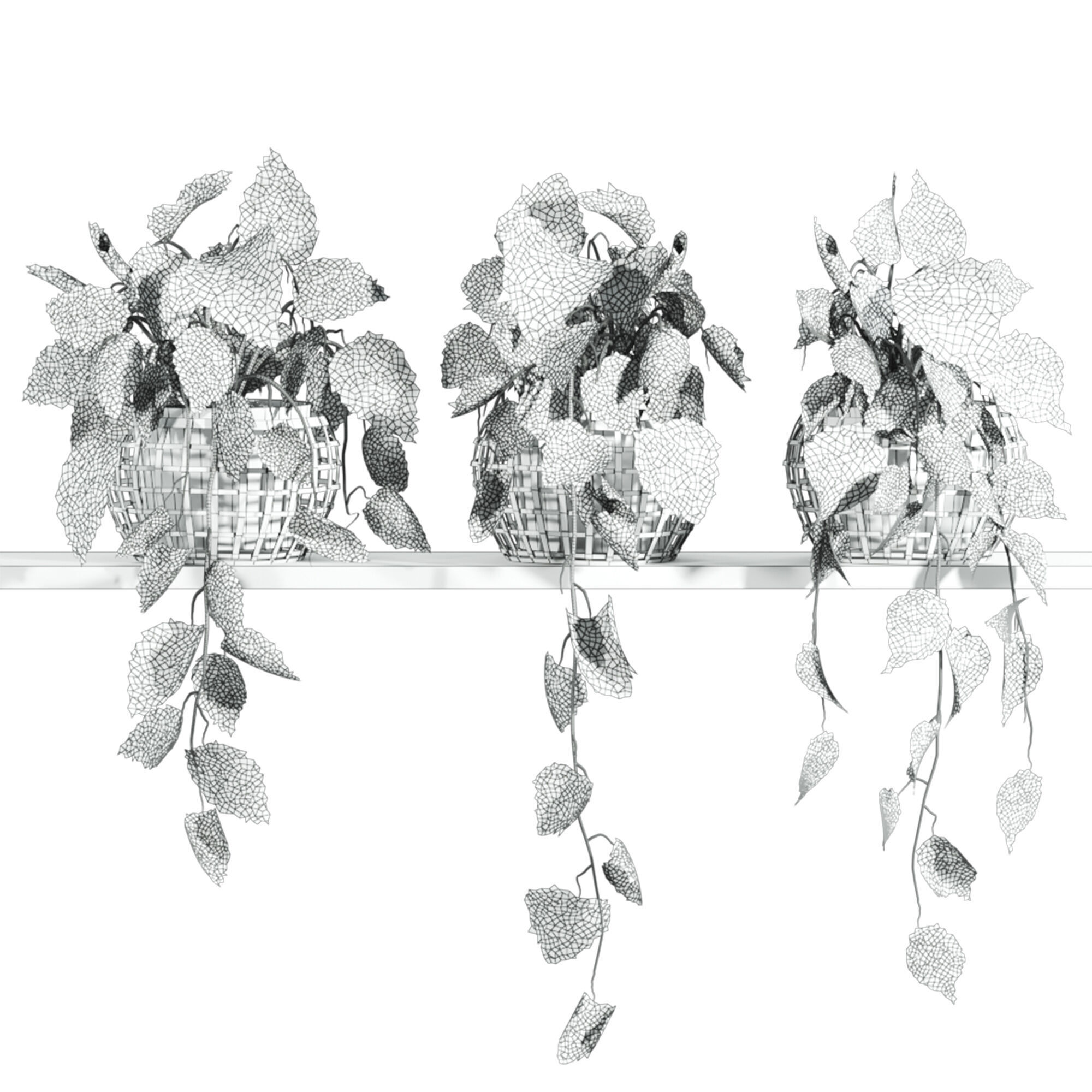 plants set on shelf 3D model_4