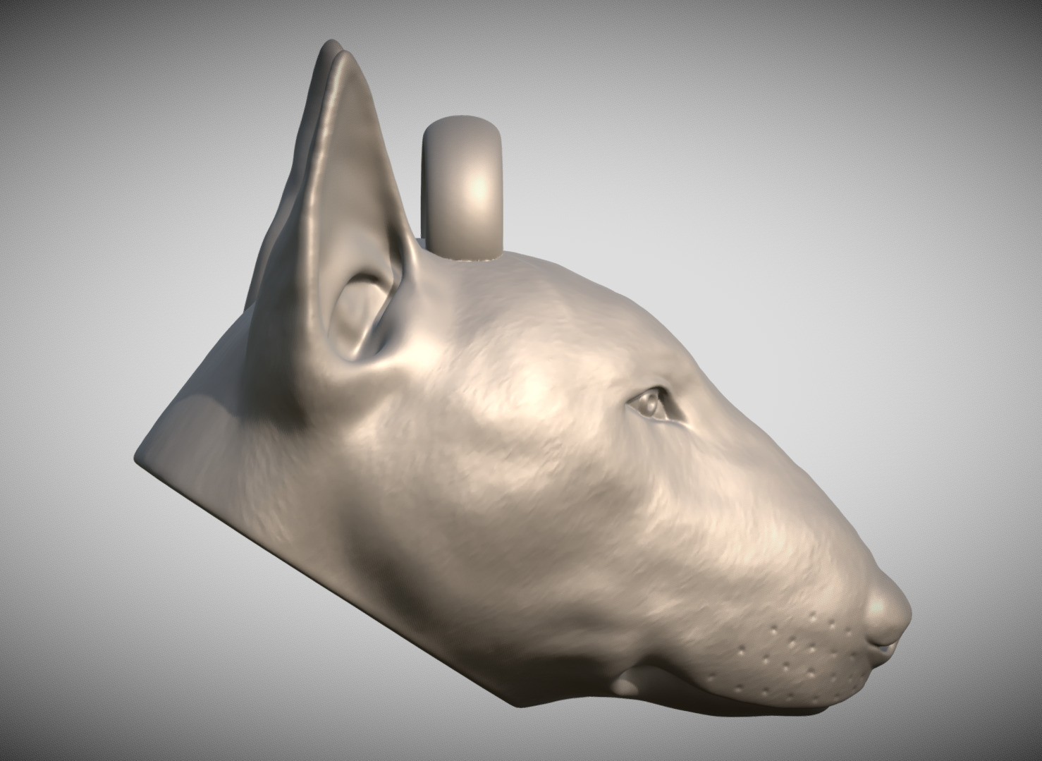 Bullterrier head key ring 3D model ready for 3D printing 3D print model_6