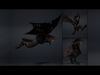 Ashen Archer Wing1 Low-poly 3D model_2