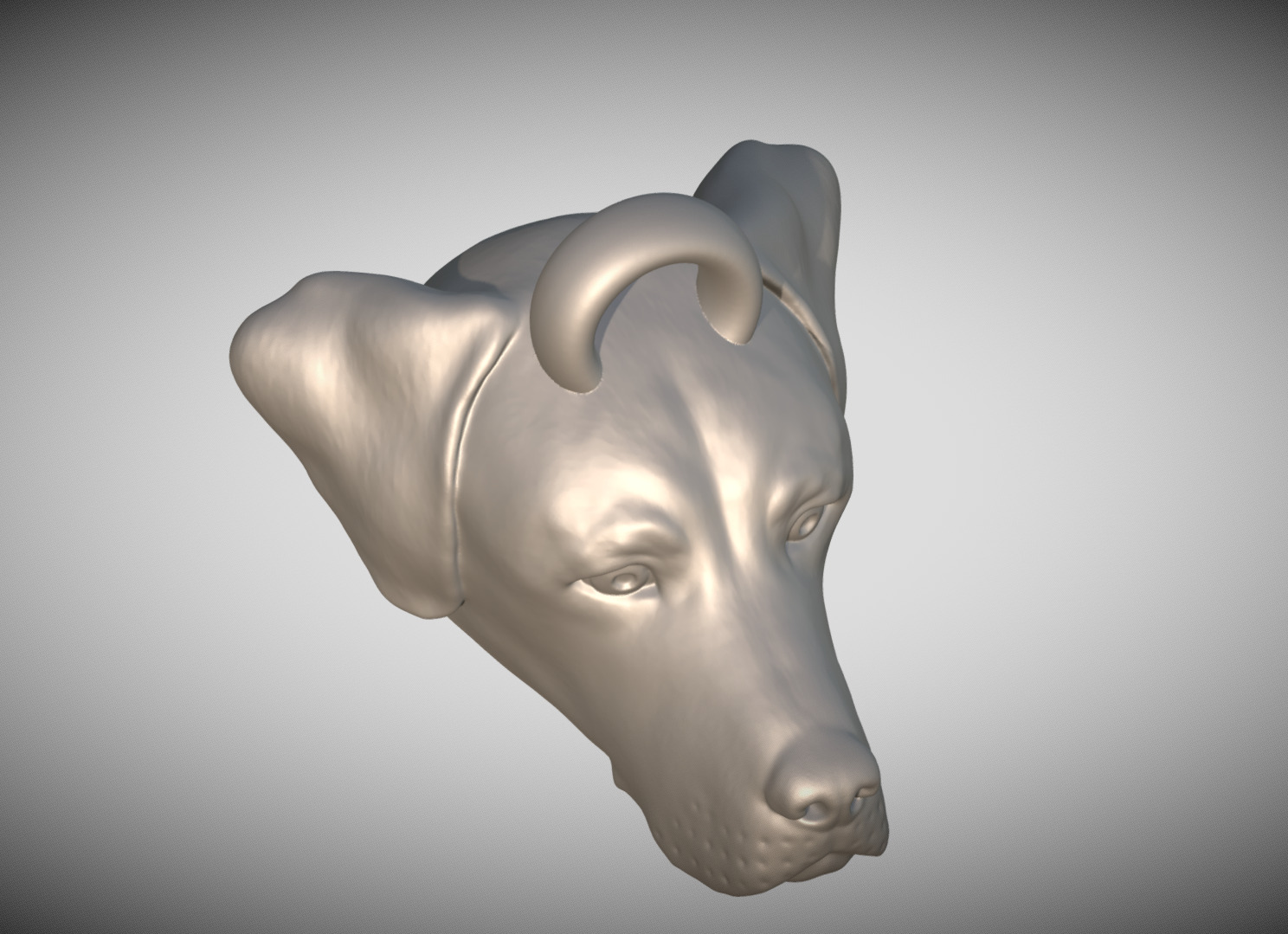 Labrador head key ring 3D model ready for 3D printing 3D print model_9