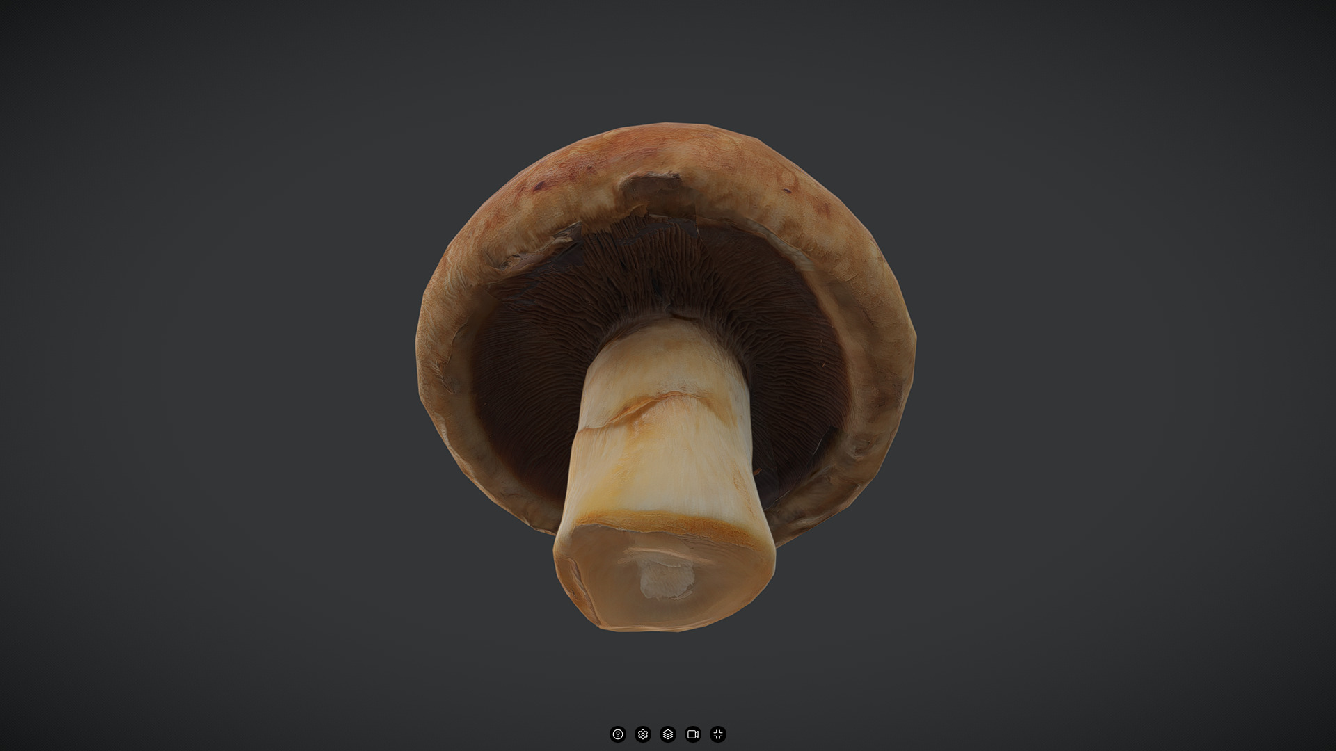 Brown Button Mushroonm Low-poly 3D model_3