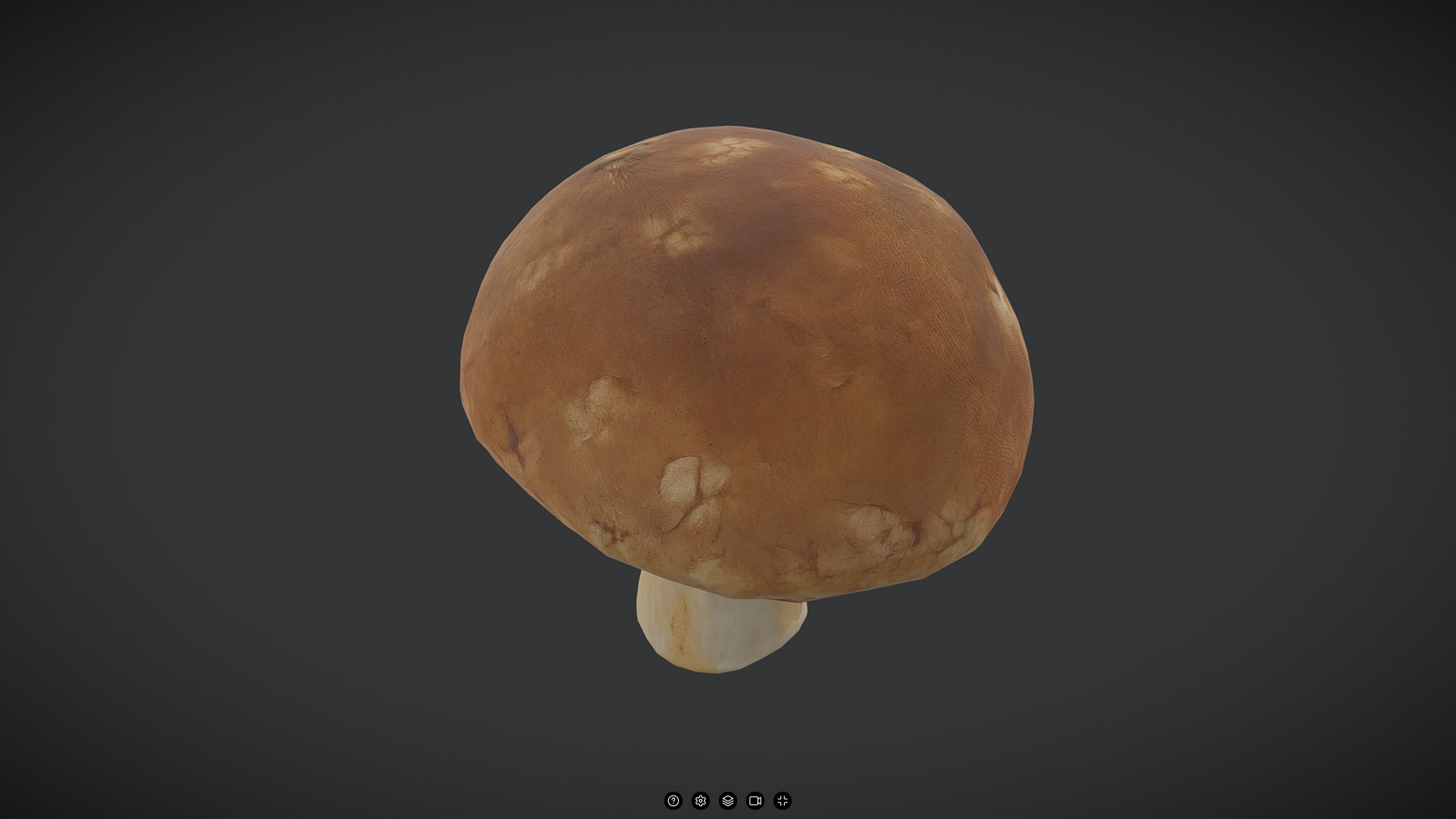 Brown Button Mushroonm Low-poly 3D model_5