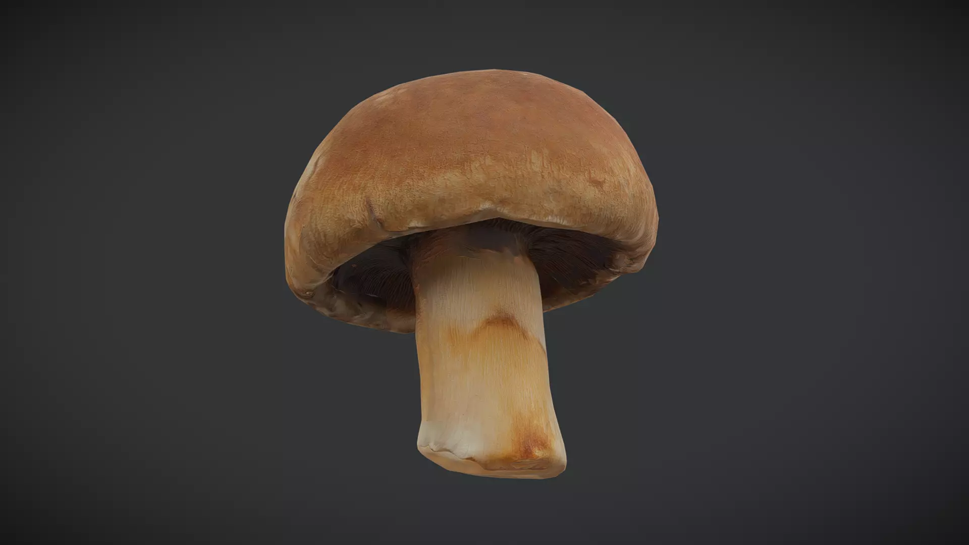 Brown Button Mushroonm Low-poly 3D model_0