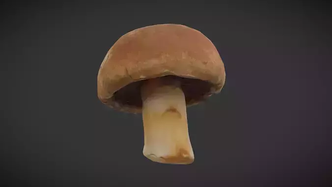 Brown Button Mushroonm