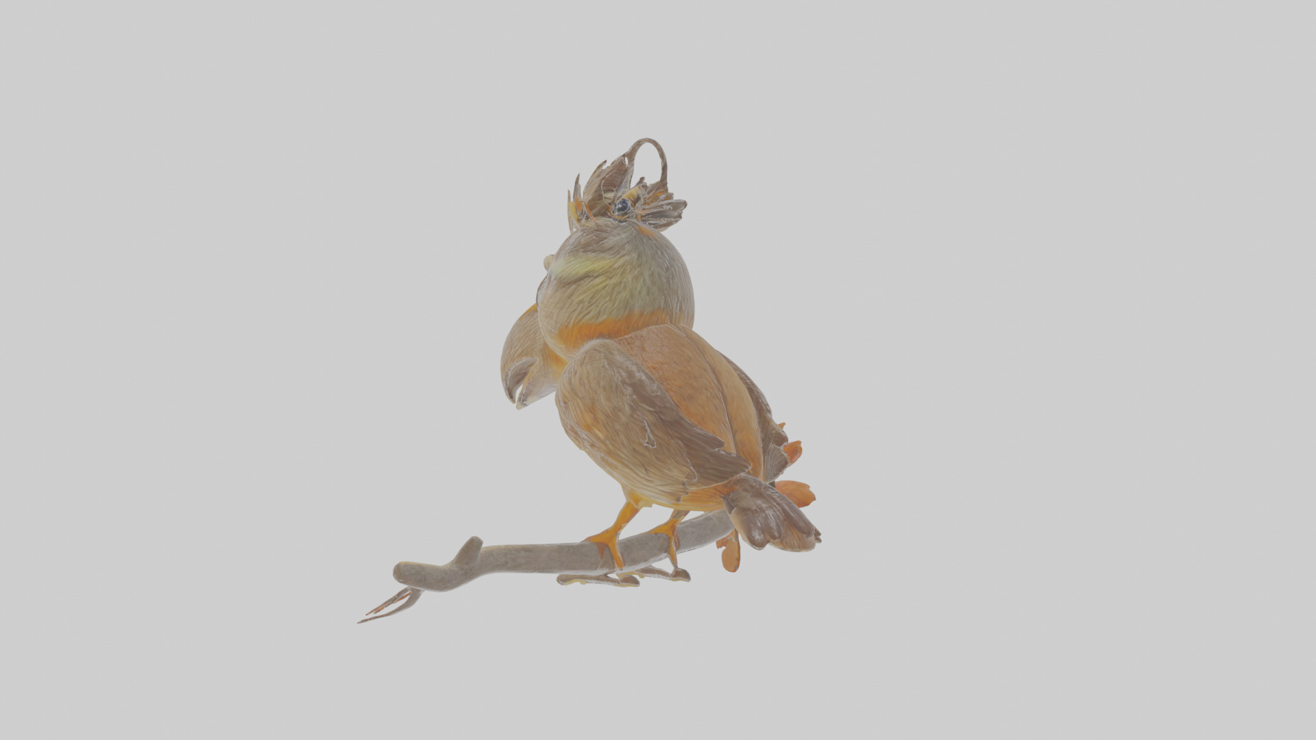 Cartoon Accentor Low-poly 3D model_2