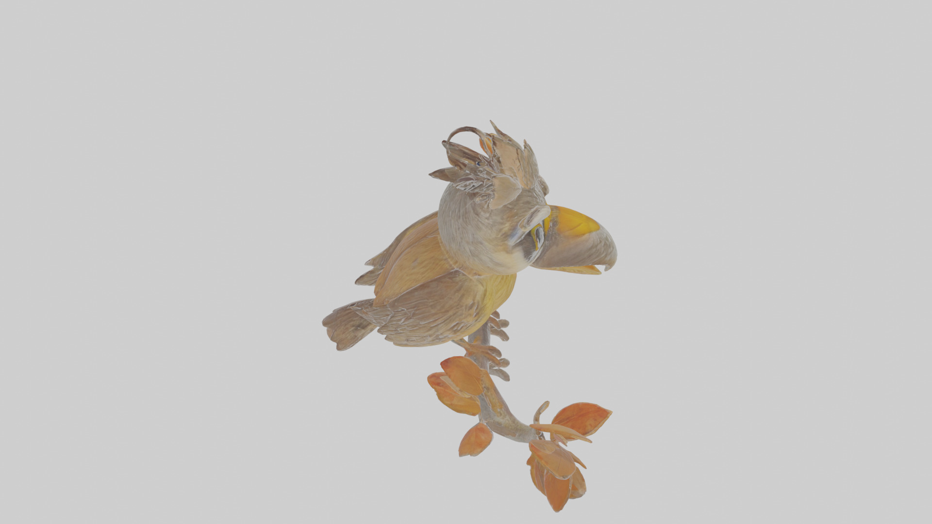 Cartoon Accentor Low-poly 3D model_28