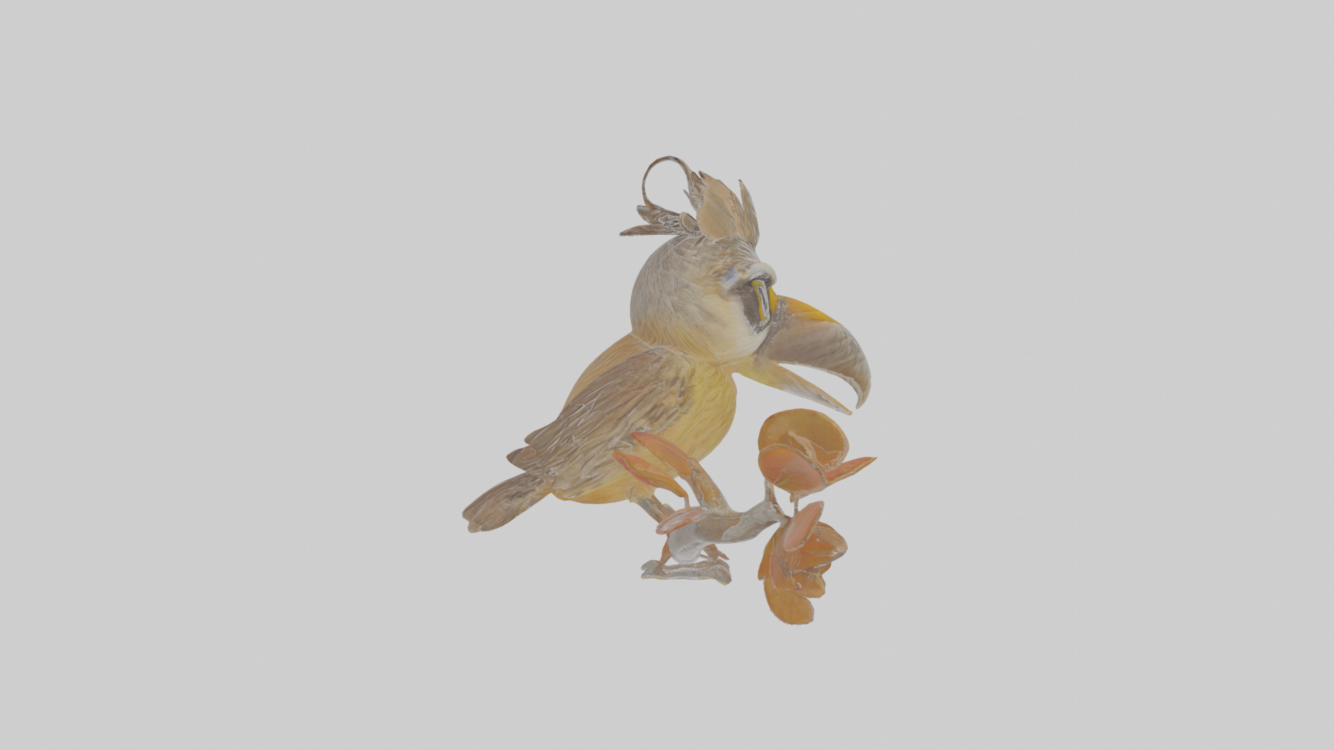 Cartoon Accentor Low-poly 3D model_20