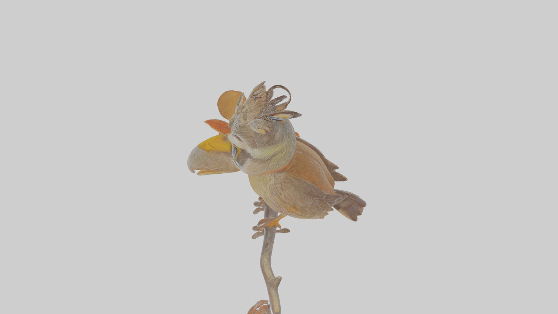 Cartoon Accentor Low-poly 3D model_25