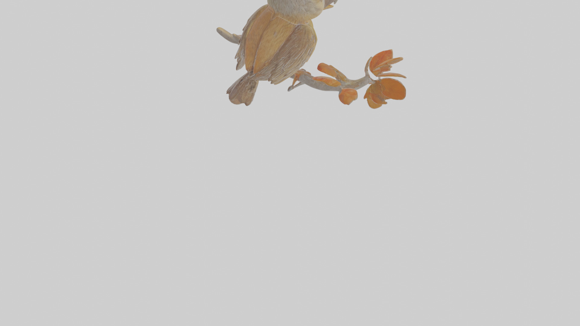 Cartoon Accentor Low-poly 3D model_6