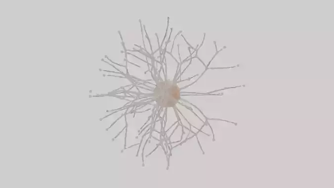 Cytoskeleton Model