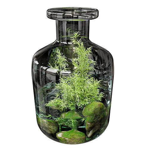 Terrarium PLANTS COLLECTION NO7 A 3D model