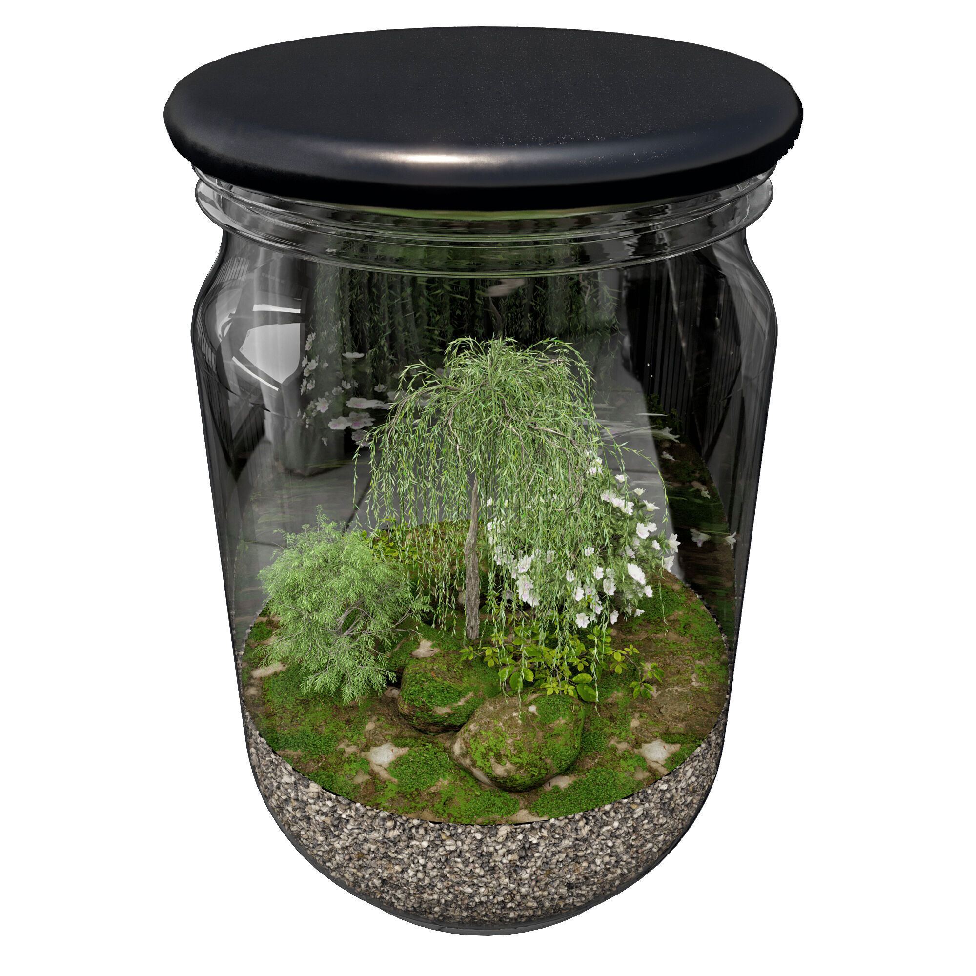 Terrarium PLANTS COLLECTION NO6 A 3D model_6