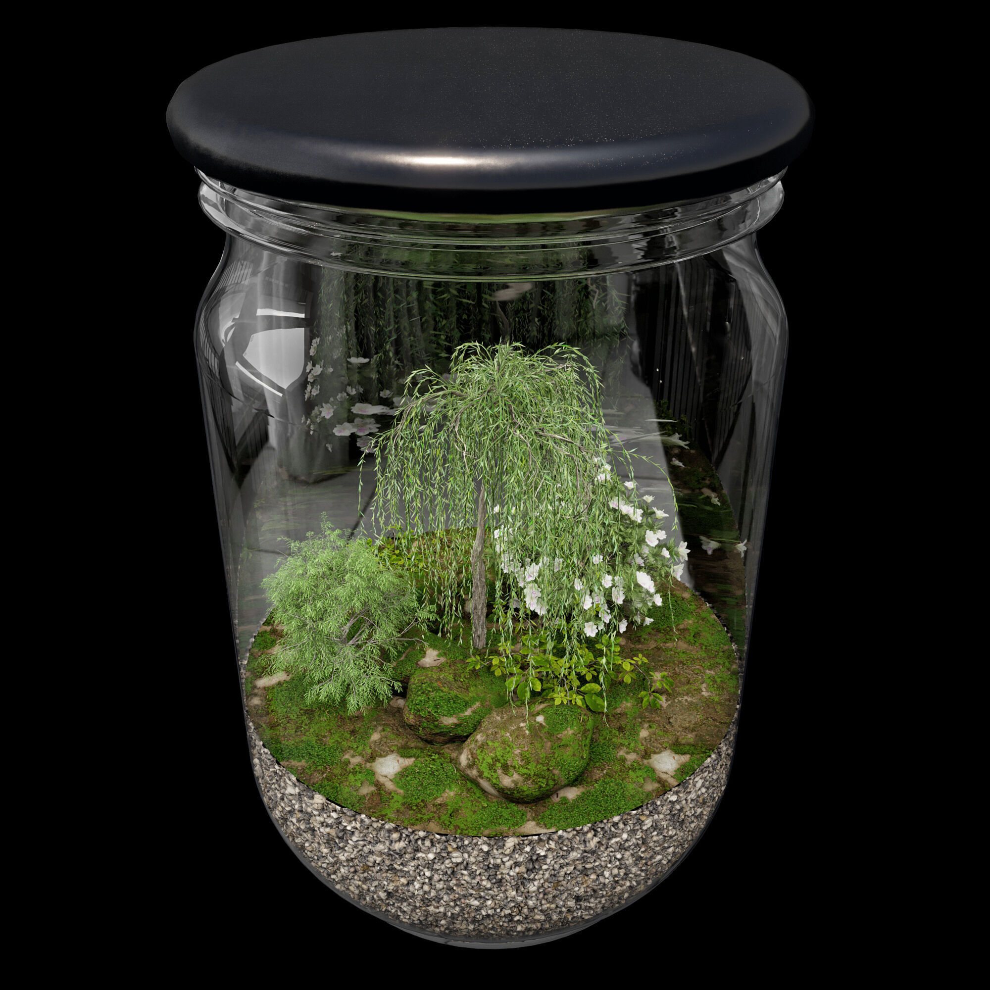 Terrarium PLANTS COLLECTION NO6 A 3D model_1
