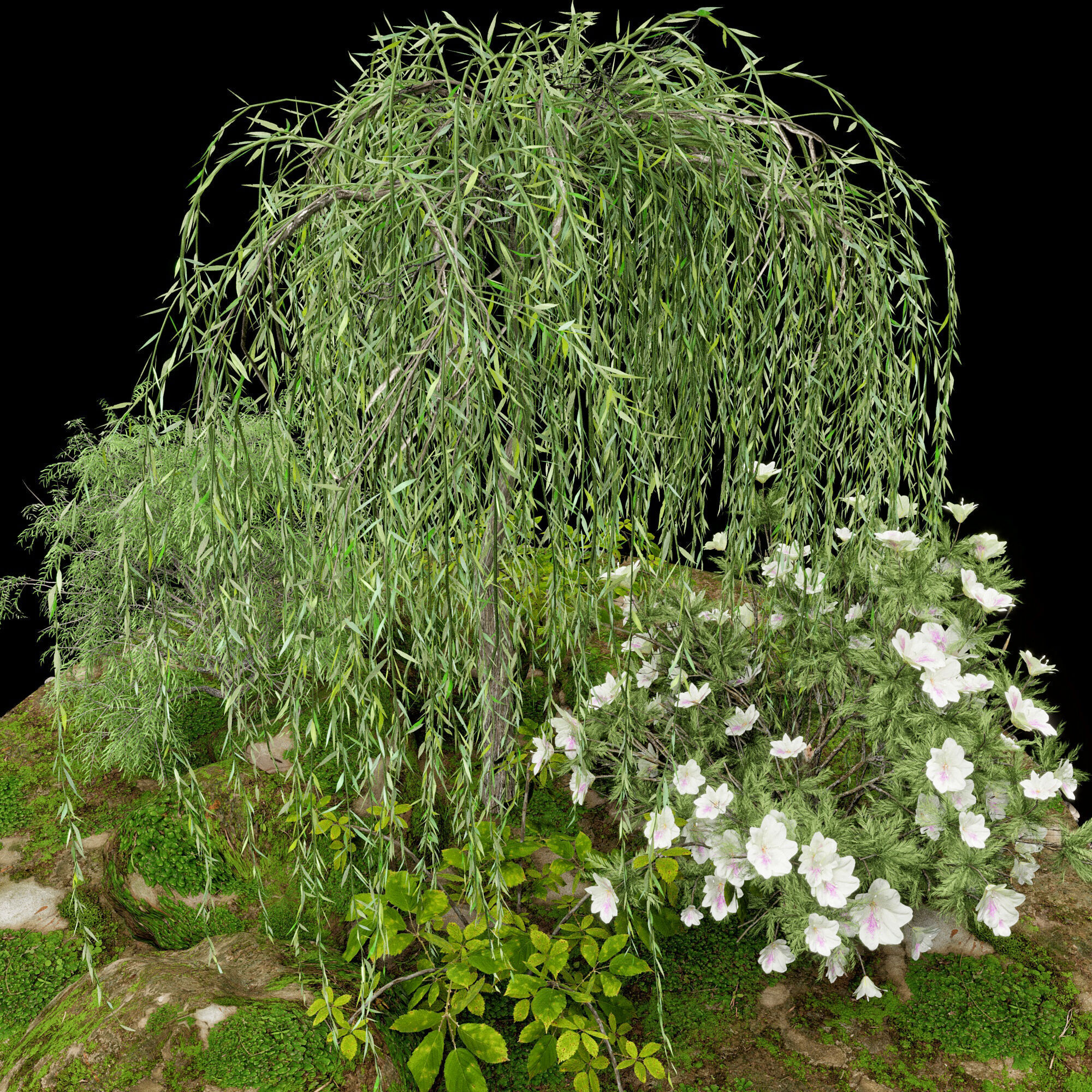 Terrarium PLANTS COLLECTION NO6 A 3D model_7