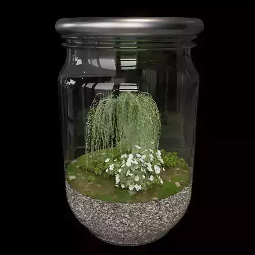 Terrarium PLANTS COLLECTION NO6 A