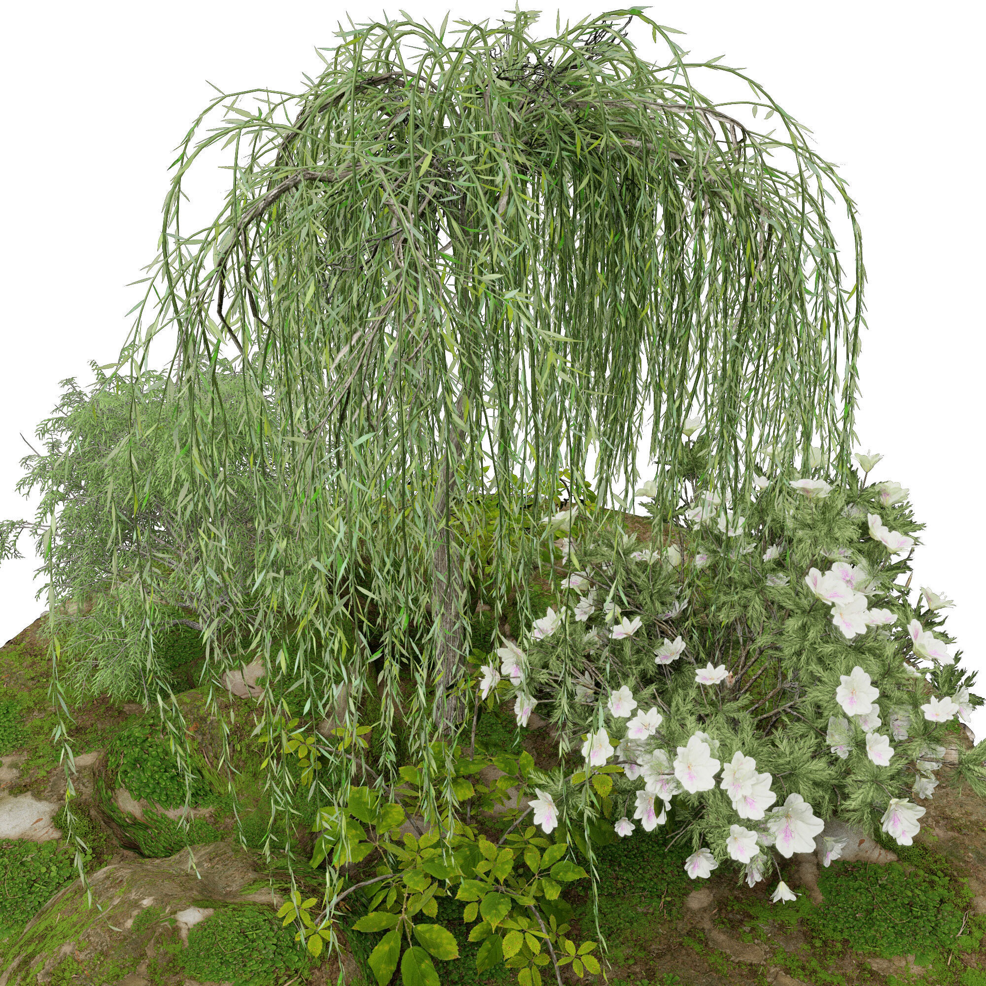 Terrarium PLANTS COLLECTION NO6 A 3D model_8