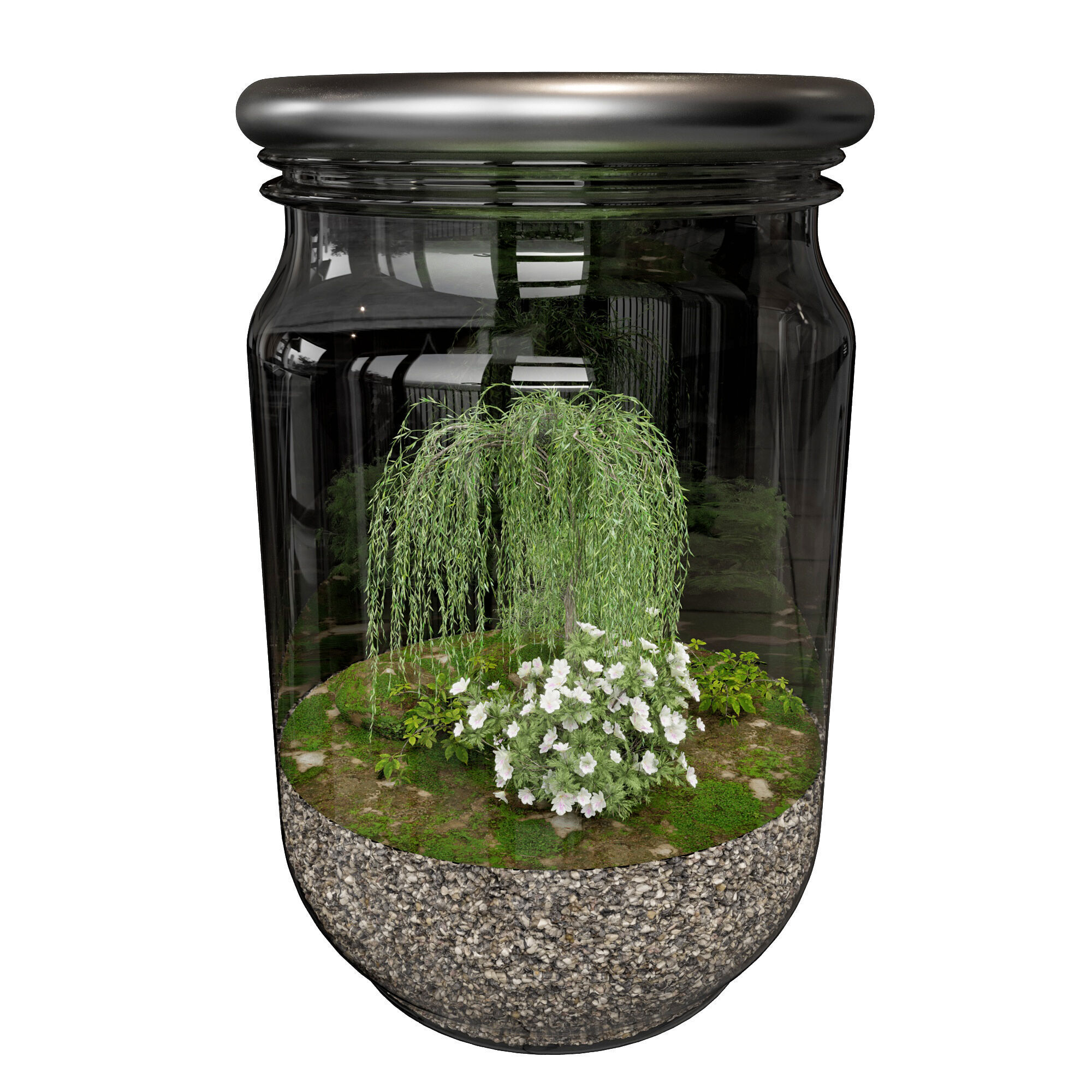 Terrarium PLANTS COLLECTION NO6 A 3D model_2