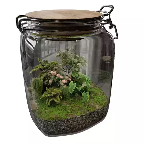 Terrarium PLANTS COLLECTION NO5 A