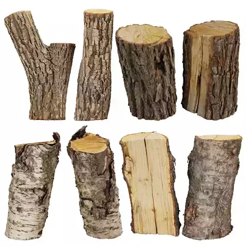 3D Scanned Wood 03 - Firewood - Logs -high poly - low poly