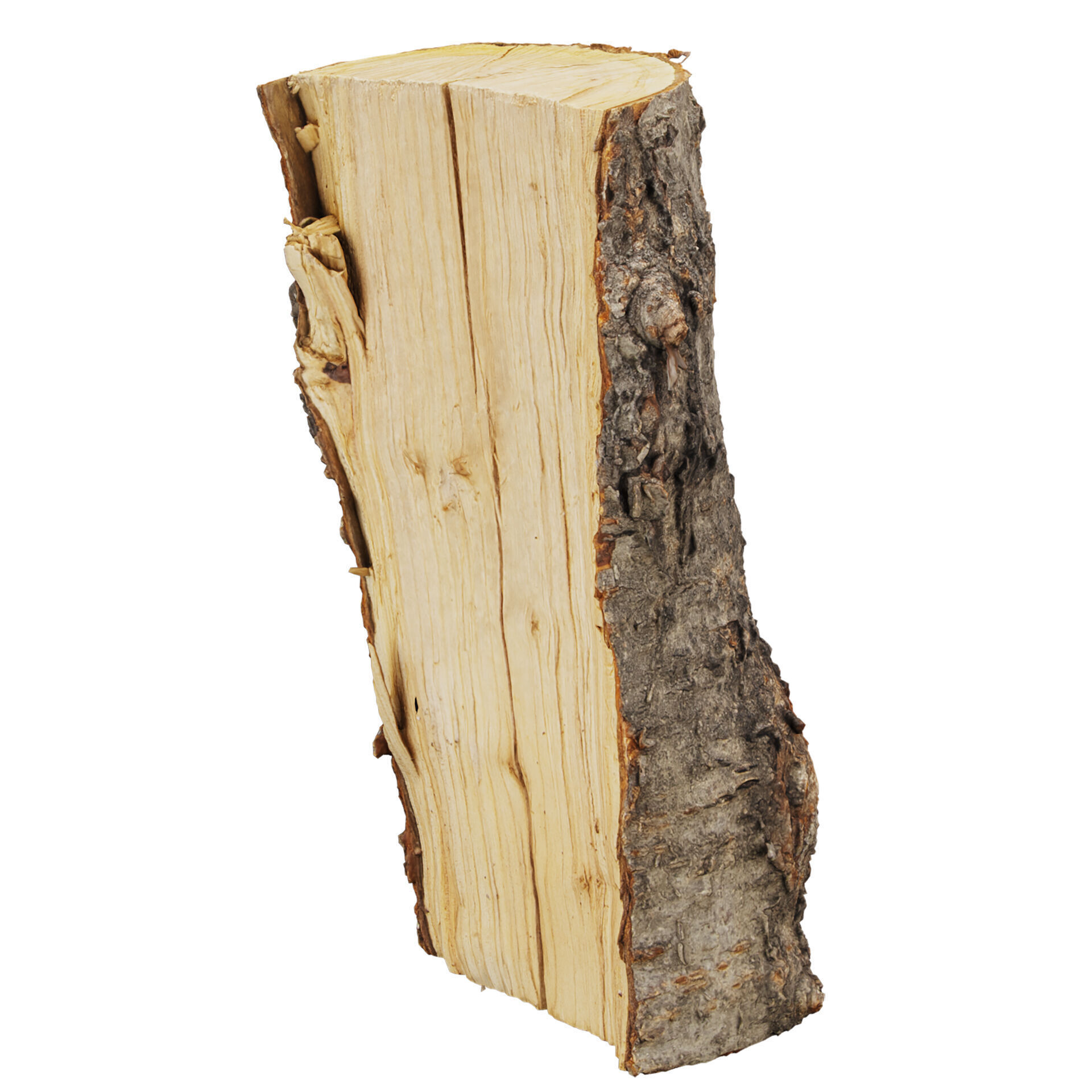 3D Scanned Wood 03 - Firewood - Logs -high poly - low poly 3D model_7