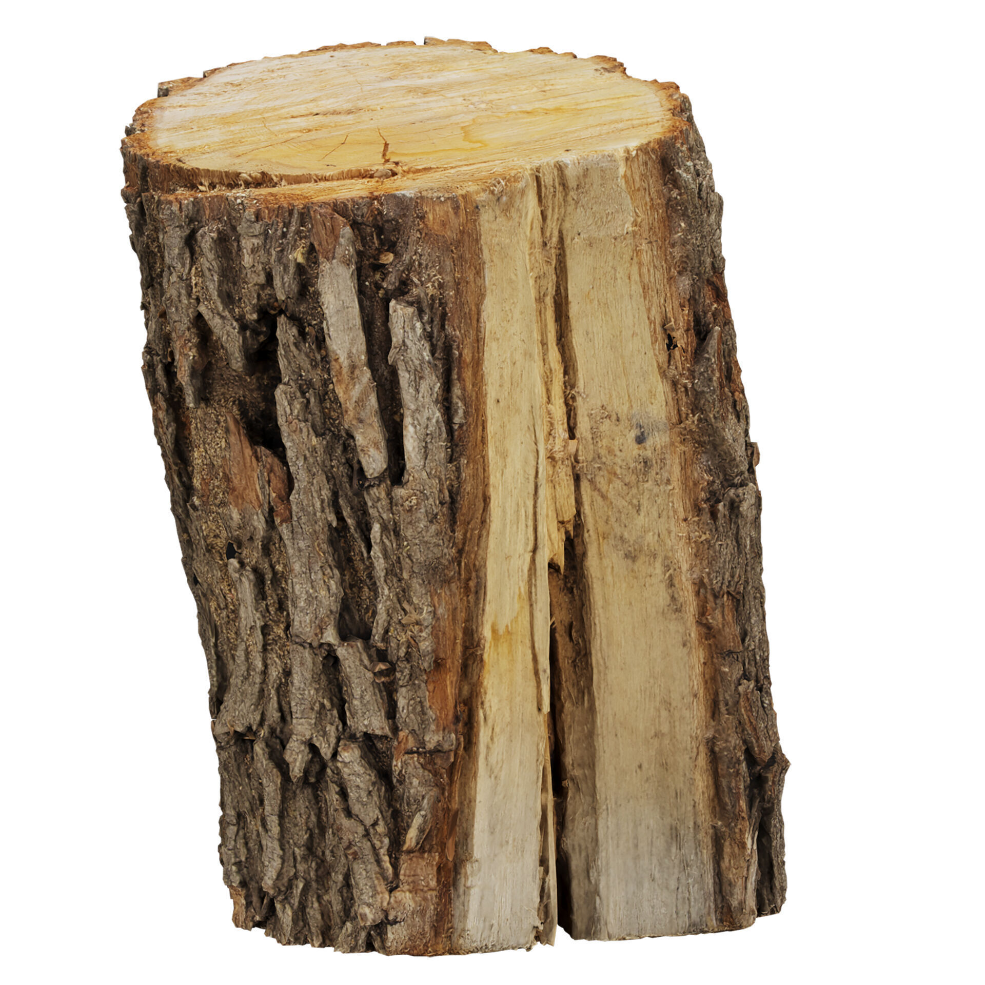 3D Scanned Wood 03 - Firewood - Logs -high poly - low poly 3D model_8