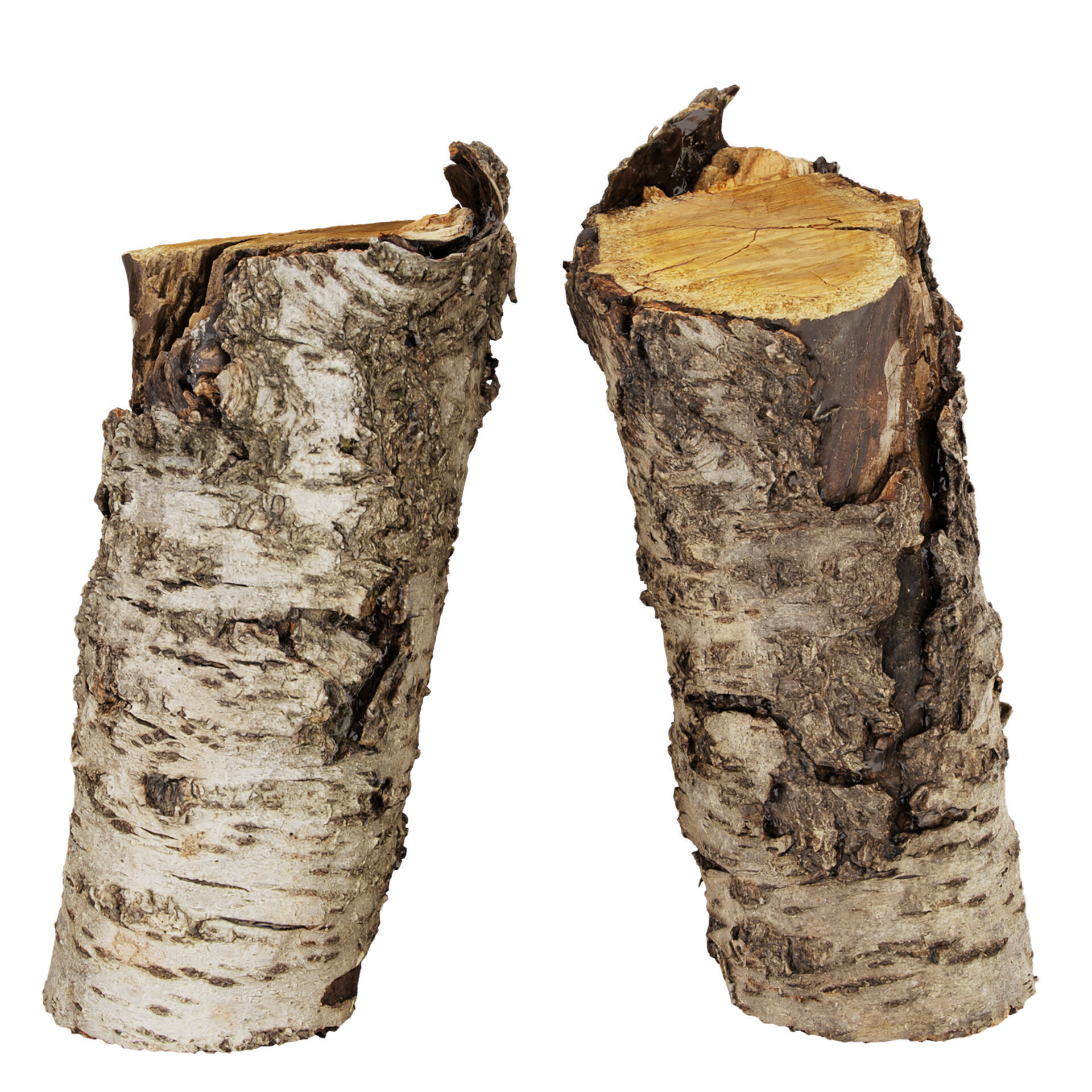 3D Scanned Wood 03 - Firewood - Logs -high poly - low poly 3D model_2