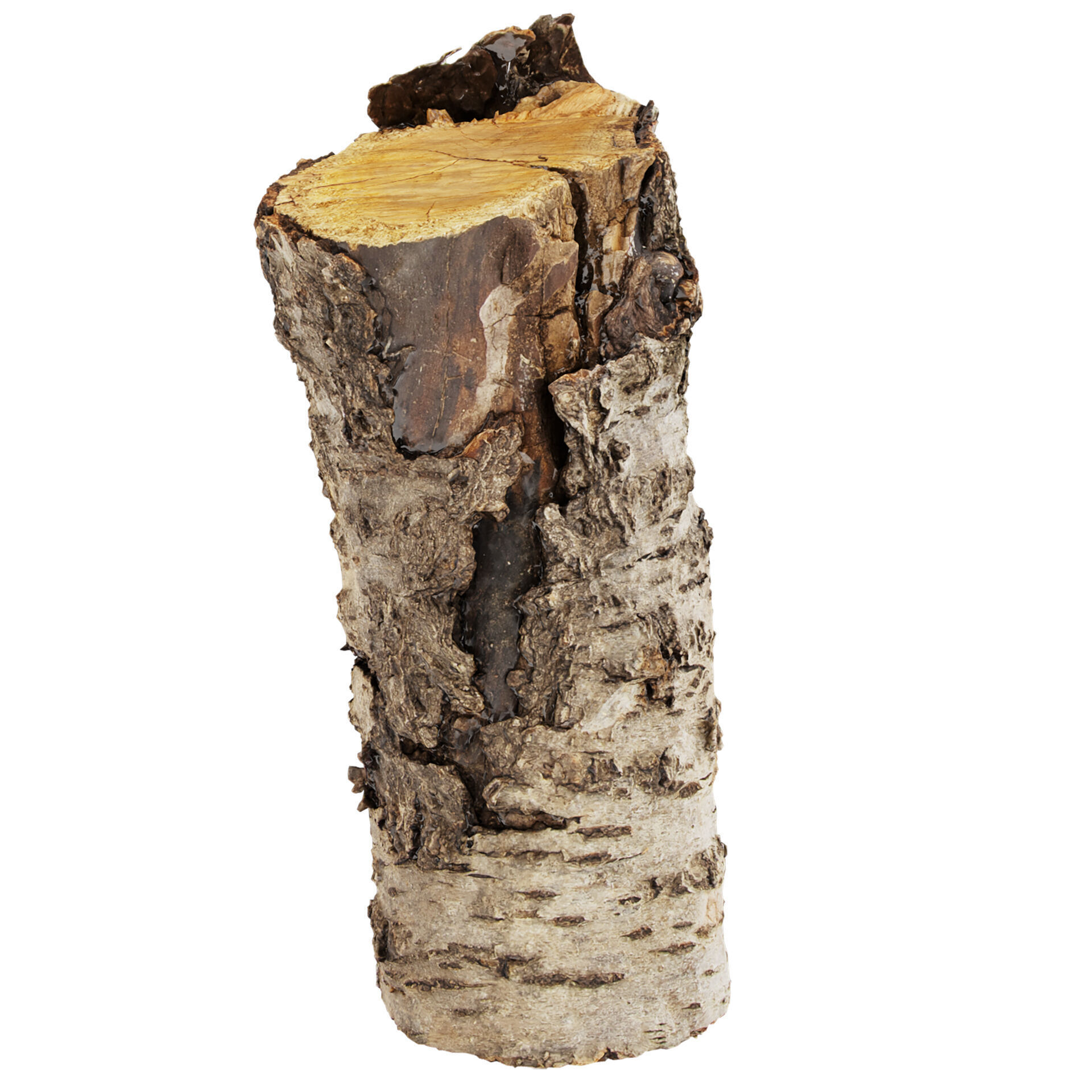 3D Scanned Wood 03 - Firewood - Logs -high poly - low poly 3D model_6