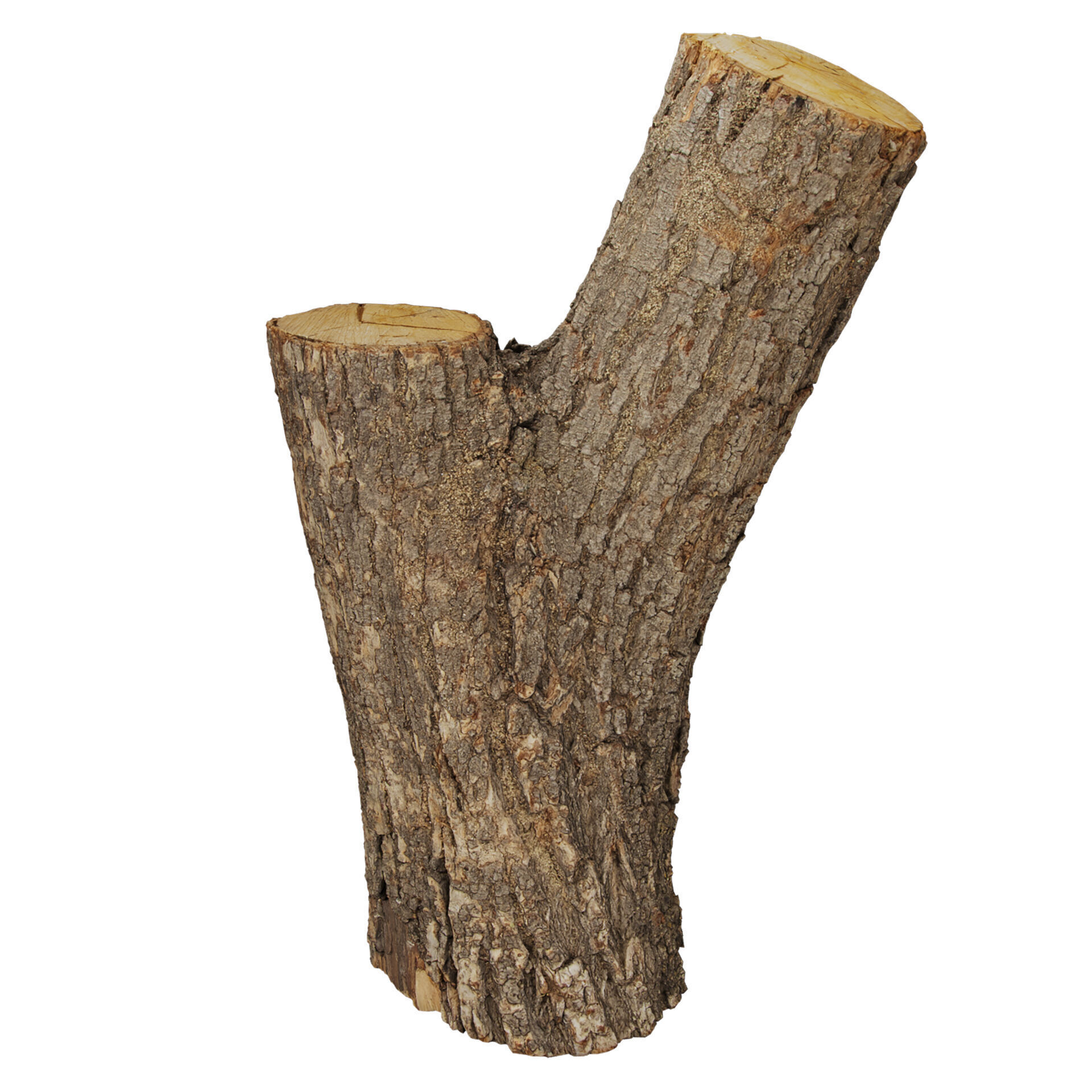 3D Scanned Wood 03 - Firewood - Logs -high poly - low poly 3D model_5