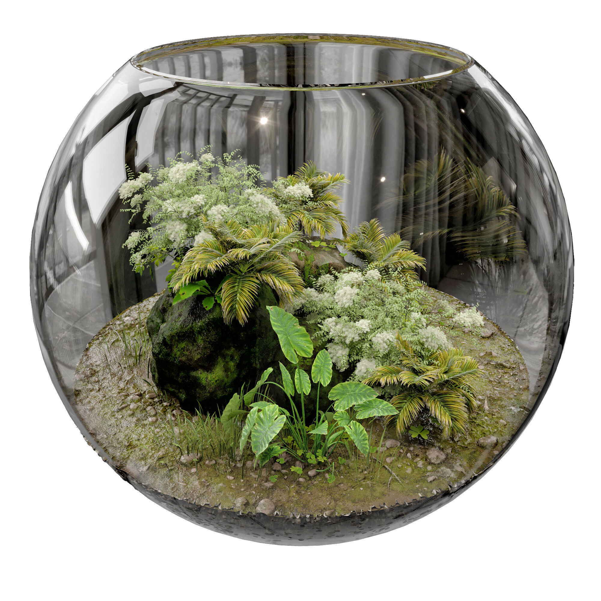 Terrarium PLANTS COLLECTION NO4 A 3D model_6