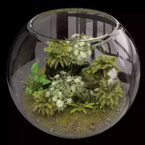 Terrarium PLANTS COLLECTION NO4 A