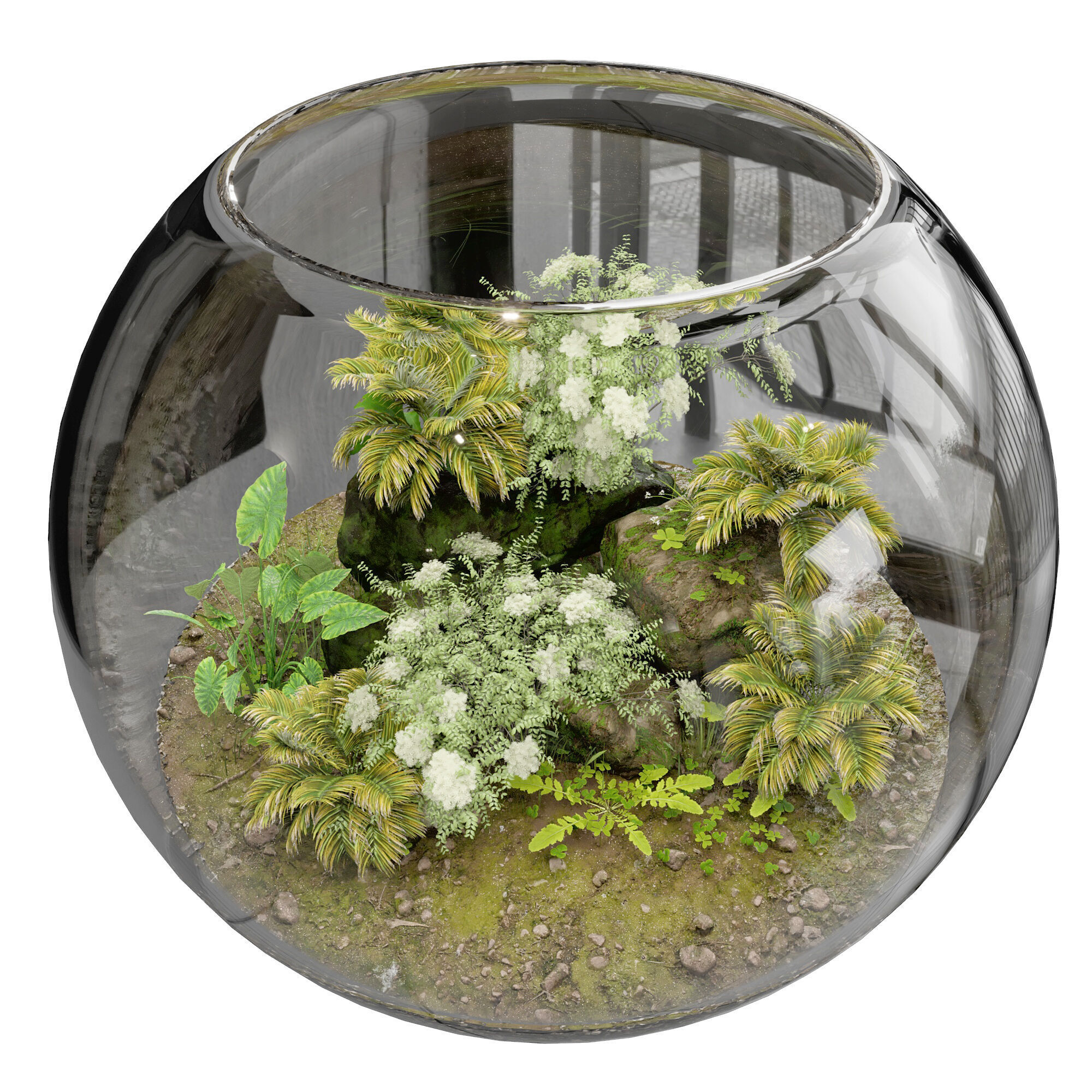 Terrarium PLANTS COLLECTION NO4 A 3D model_1