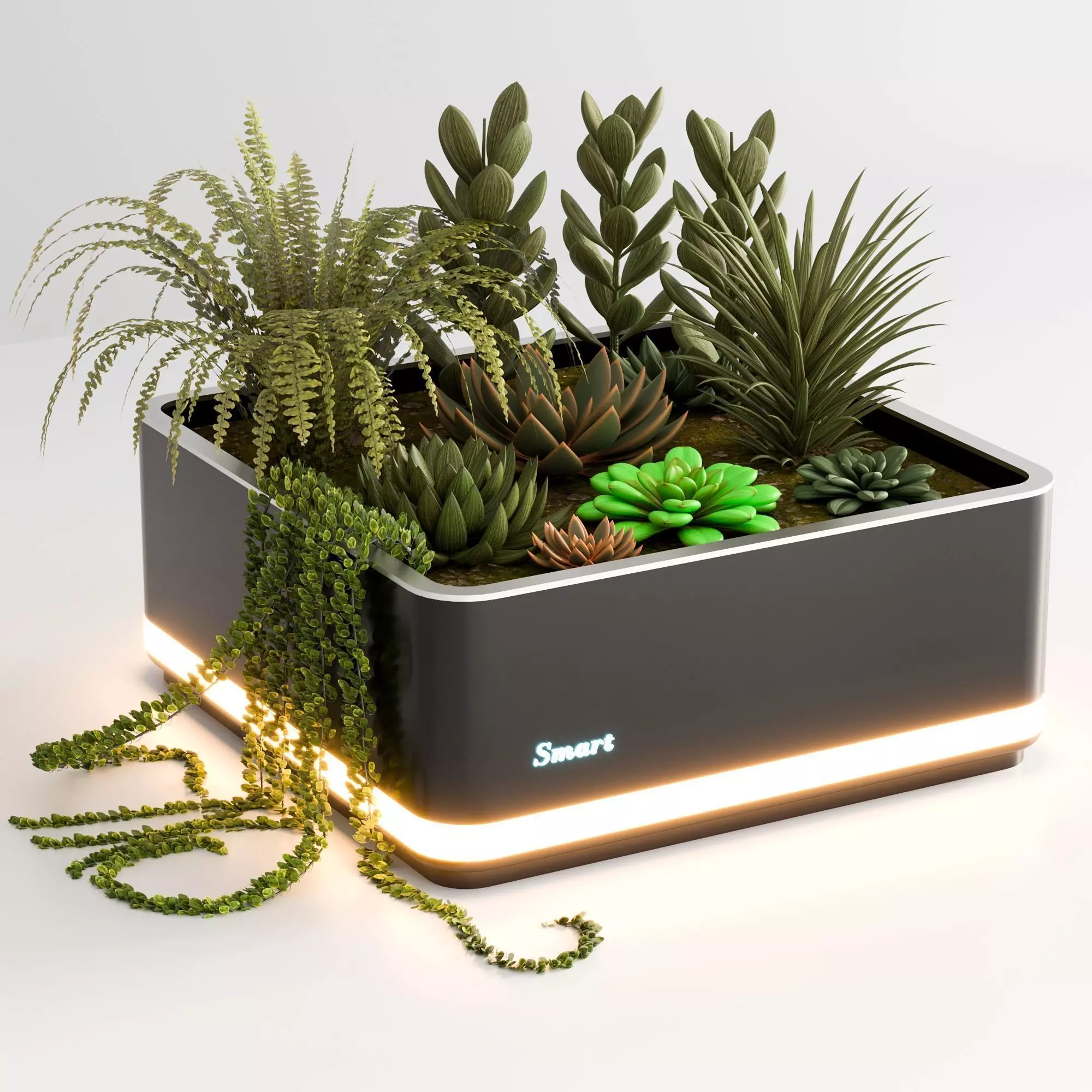 PLANTS IN DIGITAL VASE NO1 A 3D model