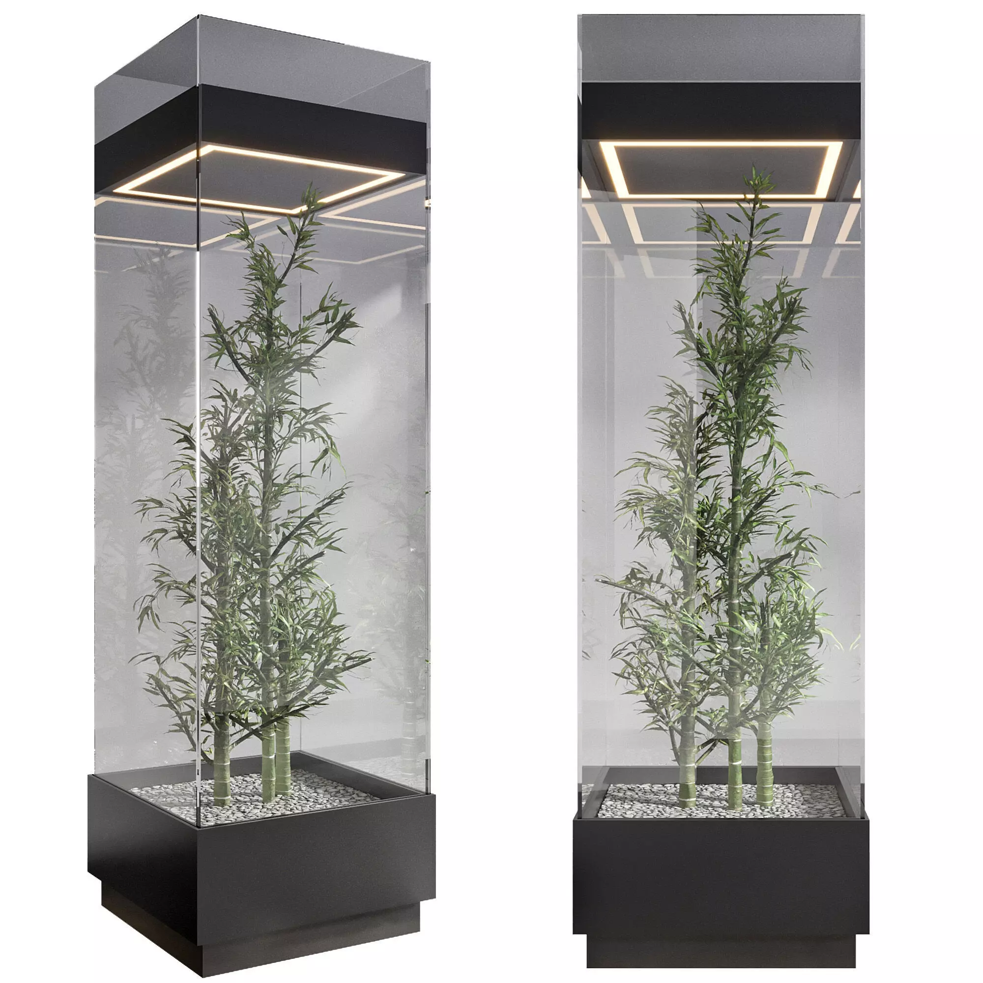 FLOWER SHOW CASE NO4 A 3D model
