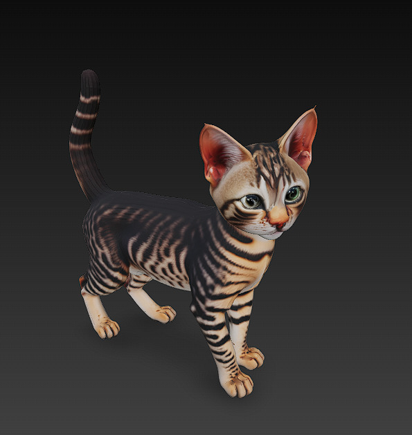 Cat Tabby Realistic 3D Model Basic - Low Poly Realistic Low-poly 3D model_6