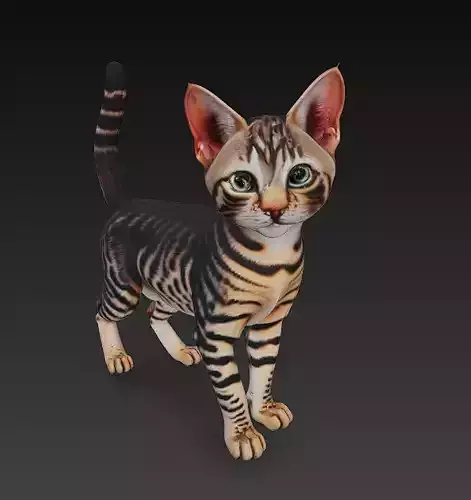 Cat Tabby Realistic 3D Model Basic - Low Poly Realistic