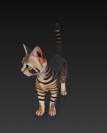 Cat Tabby Realistic 3D Model Basic - Low Poly Realistic Low-poly 3D model_4