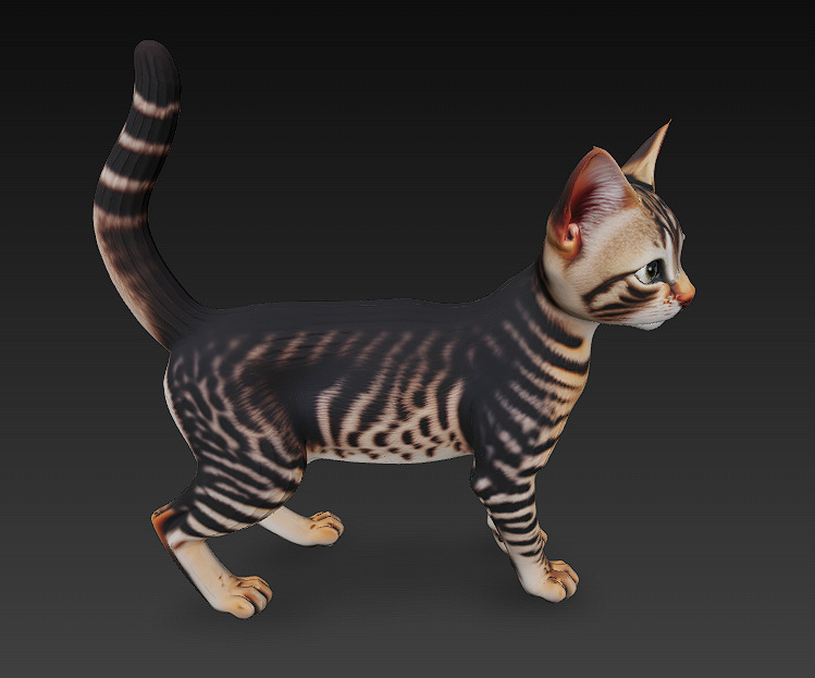 Cat Tabby Realistic 3D Model Basic - Low Poly Realistic Low-poly 3D model_1