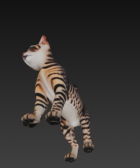 Cat Tabby Realistic 3D Model Basic - Low Poly Realistic Low-poly 3D model_8